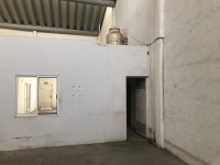 EB-TE1793 (10)