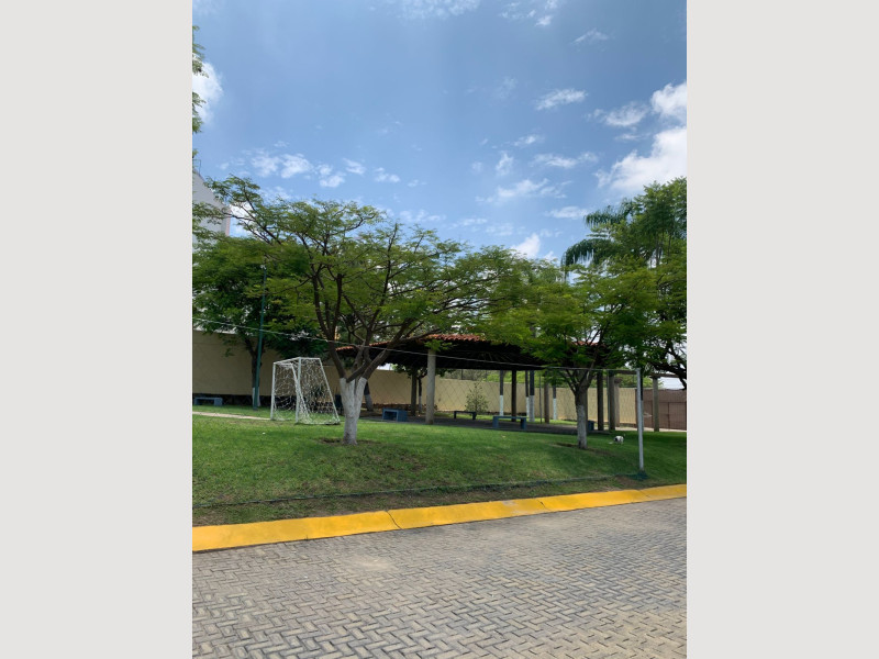 a09d5271-7a36-4f01-8f9d-28aa1ec0be7b