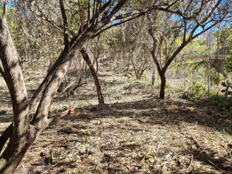 ca6db9c2-b6e4-45f6-8dcb-7ec456275030