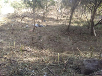 526565d8-6961-4f3c-8c29-a661c1585a18