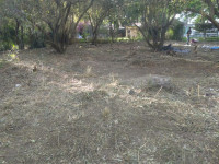 5778a550-d939-4329-adba-be961f7d956e