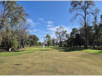 d8ed4b86-5712-41ef-8347-ccd7e06f43fc