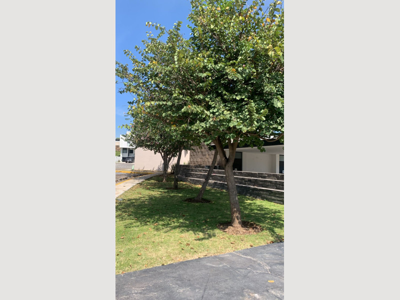 e304ba4b-aab9-4f10-831c-39ed2f34e8f2