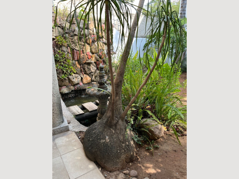 f8cce43b-9caa-4072-b1e8-59eb9d8597d2