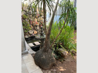 f8cce43b-9caa-4072-b1e8-59eb9d8597d2