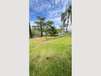 4919099f-4626-4525-bc14-0d0a152dfb71