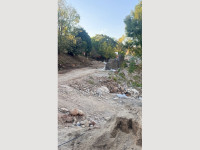 d654d038-87be-426c-ab38-752490b2b95b