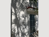 2c14f545-f51a-48f8-b0c9-d38e1221a357