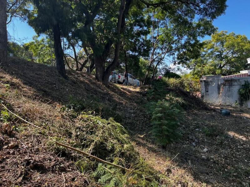 268974f5-7536-4599-ad66-e9cdf77ce0c6