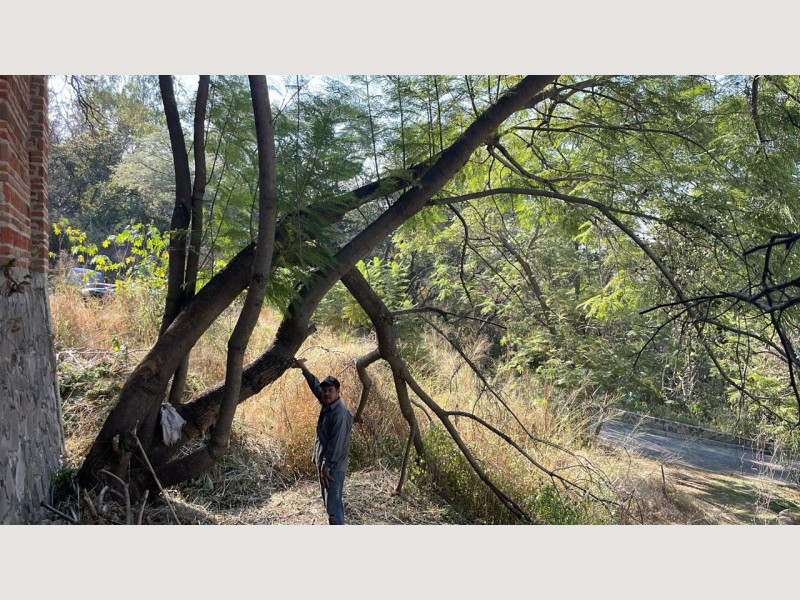 43b160ae-00a3-4e74-b7d0-e8af423deda8