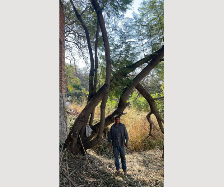 718785e3-a1e4-42dd-8ae5-8e990ac40201