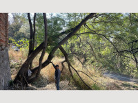 43b160ae-00a3-4e74-b7d0-e8af423deda8