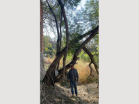 718785e3-a1e4-42dd-8ae5-8e990ac40201