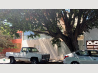 181d637c-5f3f-4d54-9181-9a57d202842f