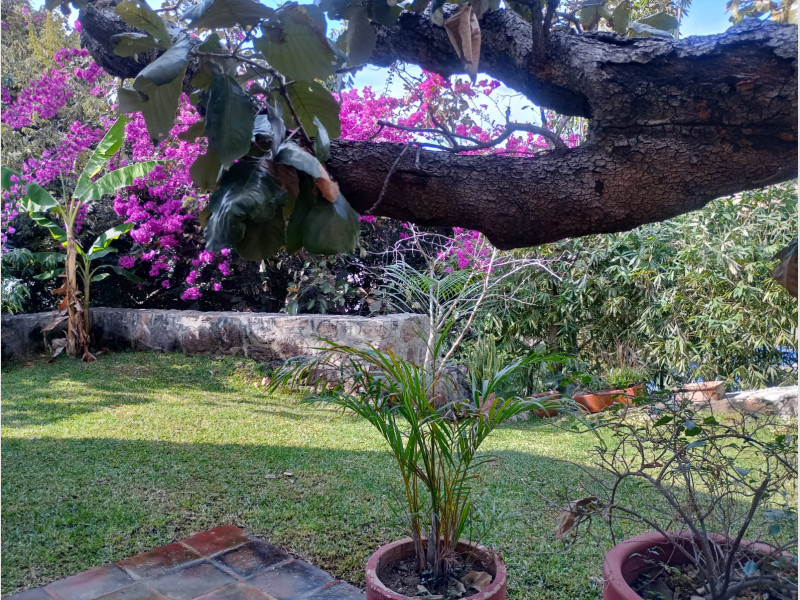 0d866df3-d9b8-4b3a-9ee9-c28693cd03de