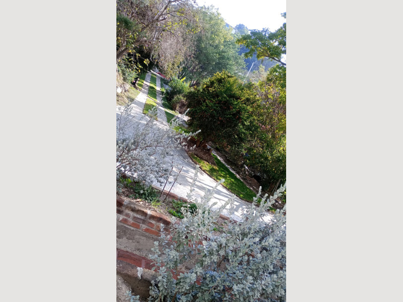 23c6586a-4d46-4e8d-8865-bbf67ea62ce9