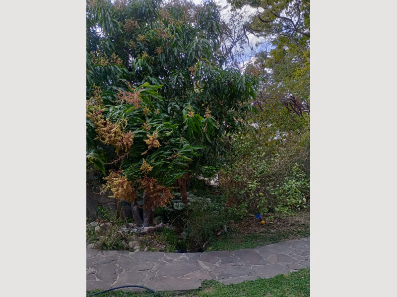 60d7fd7c-f675-422d-8b4c-79cb3e73806e