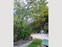 4f5008a2-7cce-408d-948f-425a0d5174b0