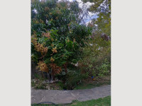 60d7fd7c-f675-422d-8b4c-79cb3e73806e