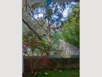 7cd6d597-6b51-44e6-b5cc-5e68dd15b075