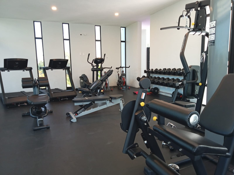 994c38f5-77fd-4b1f-9681-b8bdab5e276d