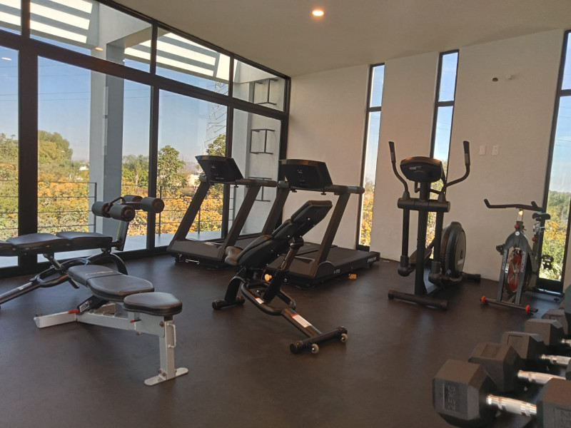 da2054f5-970a-45ca-8248-0bf332040264