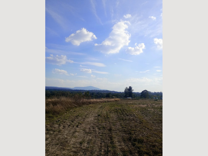 2fa94f5f-cc46-4164-9741-57a712adcaf5