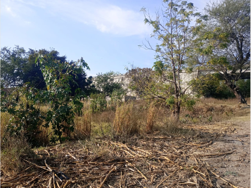 53c7bed5-126a-4cbf-8747-a1670e96cb76