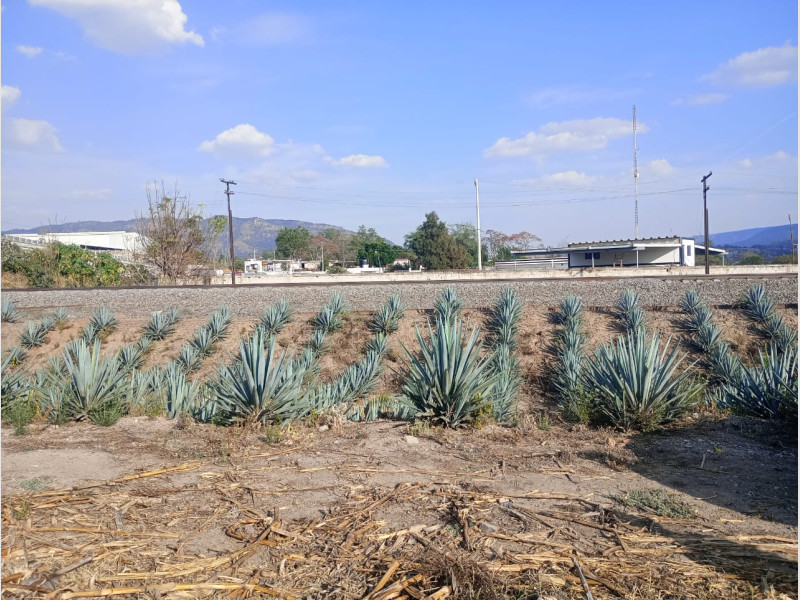 904a6db3-c25b-44f3-adbe-881b6fdca384