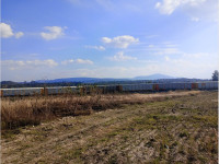 6ea9f55d-c4d1-42ee-84ce-750c367f8fd1