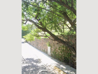 493780d9-8d2c-43a1-aec5-3da020ceba4c