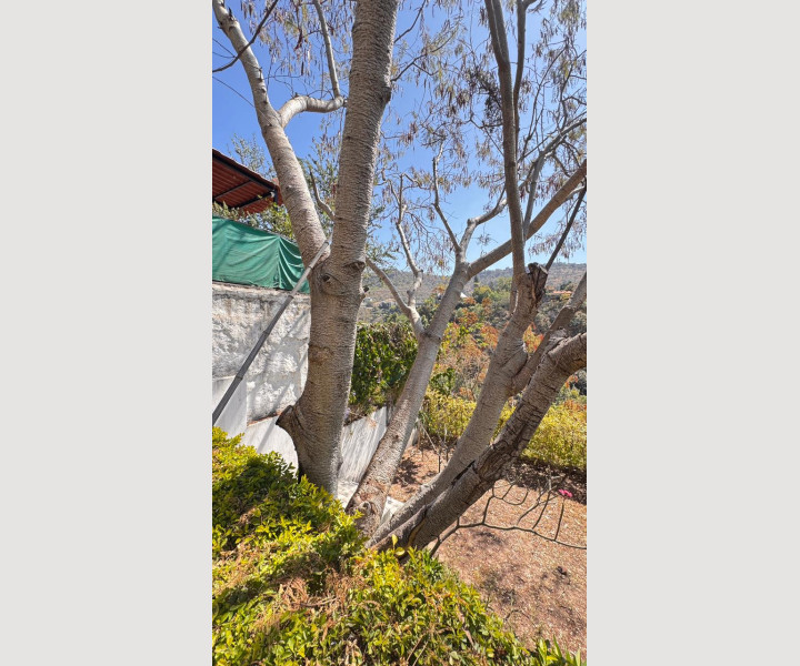 b756ff26-fe61-4228-a4be-80fb6c3476c3