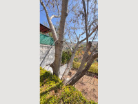 b756ff26-fe61-4228-a4be-80fb6c3476c3