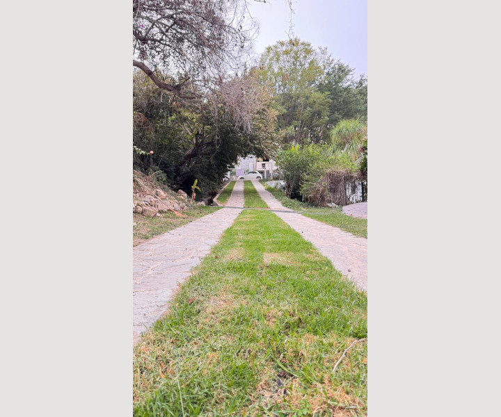 91291701-ee28-4495-b138-8d8ad1e1e197