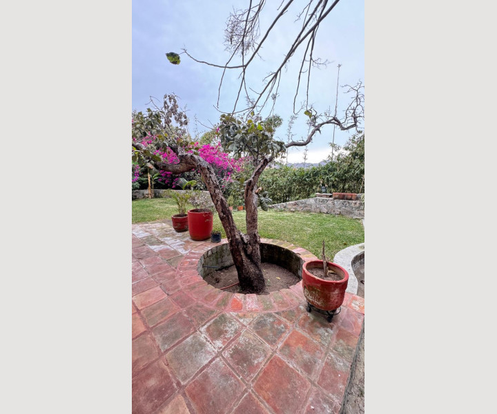 918d99fd-b9d7-4d64-bd75-a8d3d29811bc