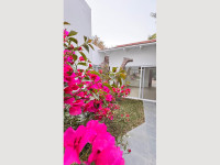 0c63457c-115b-404c-9776-f3e8cc8d09e8