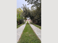 1a74b9b7-6805-4c35-8c5a-9ba4968844f5