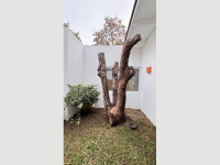 ac51a01d-3f3f-469f-a632-58cbecfb2d64