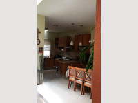 55cae5e5-1d6c-4ab4-aa82-822ef840a7e8