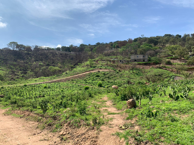 2bc94aff-f940-4f40-b070-a566e855725f