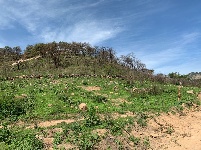 948f26f5-60ca-4542-9f4b-9e5701628730