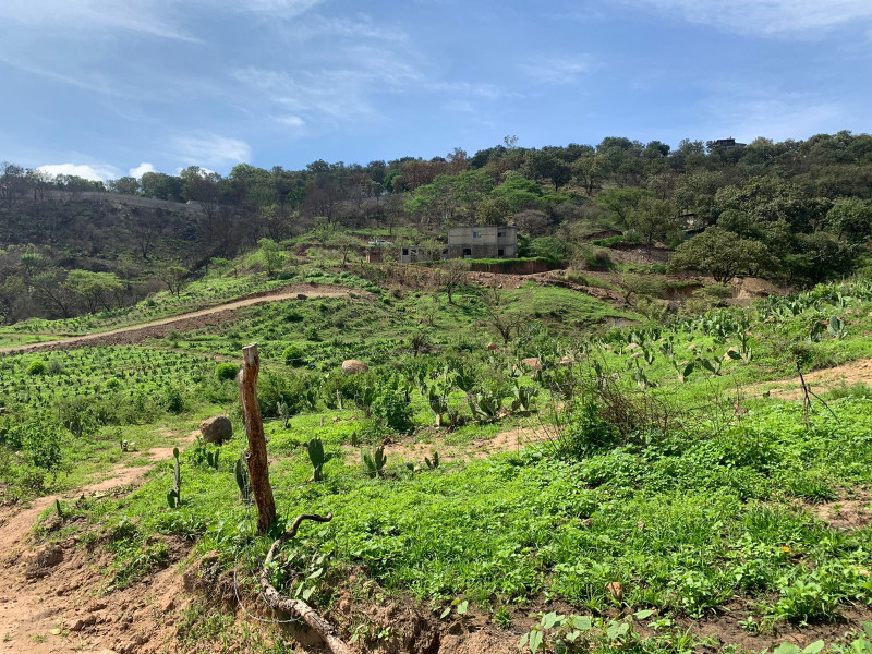 b58587ff-c219-4977-b3d8-6246106f5a9f