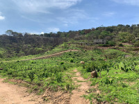 2bc94aff-f940-4f40-b070-a566e855725f