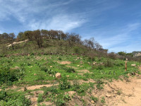 948f26f5-60ca-4542-9f4b-9e5701628730