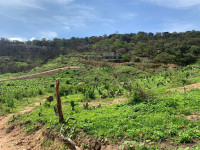 b58587ff-c219-4977-b3d8-6246106f5a9f