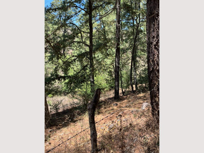 ccc3adbe-3655-46f5-92d1-faa6c10ab23c