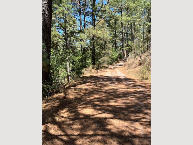 e4ca6192-993c-4be9-9410-f5a36cf86d45