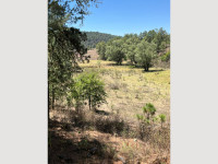 20214f61-193c-4e0c-b59b-4ac218099212