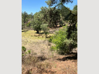 7b5a93c2-a96f-4eab-a9db-16fc77b07cf2