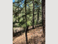 ccc3adbe-3655-46f5-92d1-faa6c10ab23c